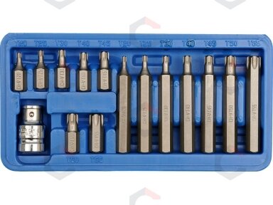 Antgalių rinkinys | T-Star (Torx) | 15 vnt. (66580)