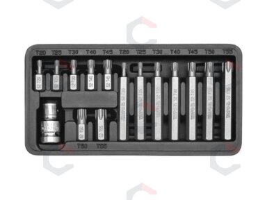 Antgalių rinkinys | T-Star (Torx) | 15 vnt. (YT-0411) Antgalių rinkinys | T-Star (Torx) | 15 vnt. (YT-0411)
