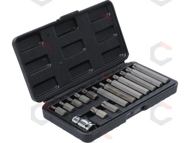 Antgalių rinkinys | trumpas / ilgas | 10 mm (3/8") storio | T-Star (Torx) | 15 vnt. (5040)