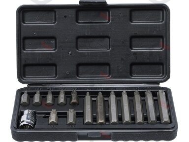 Antgalių rinkinys | trumpas / ilgas | 10 mm (3/8") storio | T-Star (Torx) | 15 vnt. (5040)