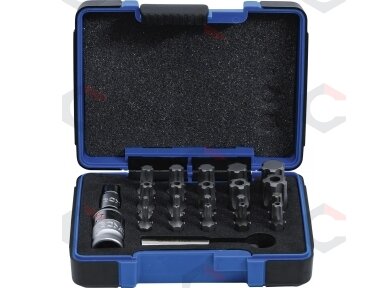Antgalių rinkinys | TS profilis PLUS (Torx Plus) | 23 vnt. (4993)