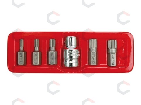 Antgalių rinkinys 6 dalių, SPLINE 30 mm ilgio (66760) Antgalių rinkinys 6 dalių, SPLINE 30 mm ilgio (66760)