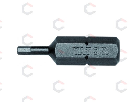 Antgalis Hex 1/4"x 25MM, dydis H2, S2 50 vnt (YT-7829) Antgalis Hex 1/4"x 25MM, dydis H2, S2 50 vnt (YT-7829)