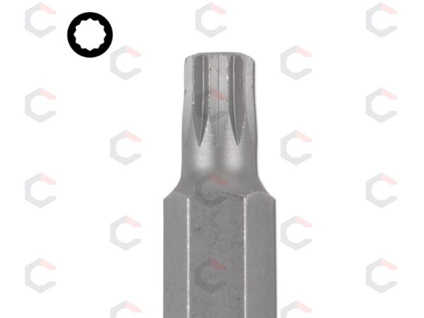 Antgalis | ilgis 75 mm | 10 mm (3/8") storis | Spline (XZN) | M6 (4860) 1 Antgalis | ilgis 75 mm | 10 mm (3/8") storis | Spline (XZN) | M6 (4860) 1