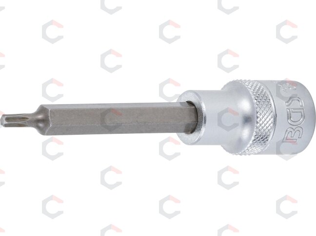 Antgalis įpresuotas į galvutę | ilgis 100 mm | 12,5 mm (1/2") | T-star (Torx) T20 (4469)