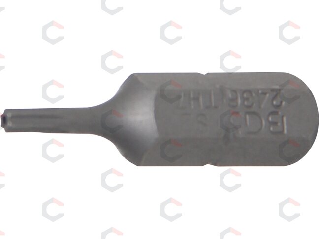 Antgalis | 6,3 mm (1/4") | T-Star su skyle (Torx) T7 (2436) Antgalis | 6,3 mm (1/4") | T-Star su skyle (Torx) T7 (2436)