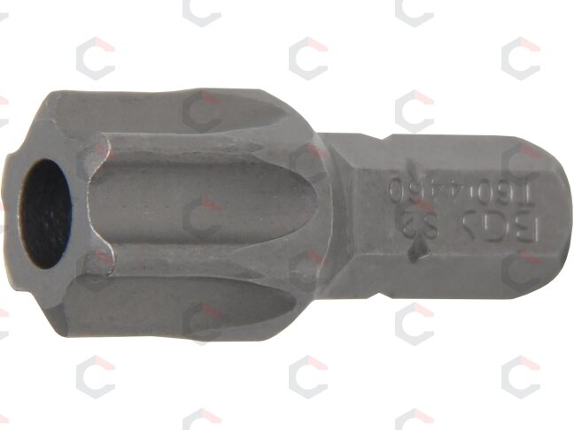 Antgalis | 8 mm (5/16") storio | T-Star su skyle (Torx) T60 (4460) Antgalis | 8 mm (5/16") storio | T-Star su skyle (Torx) T60 (4460)