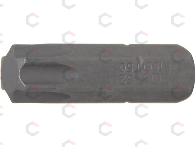 Antgalis | 8 mm (5/16") storio | T-star (Torx) T50 (8166) Antgalis | 8 mm (5/16") storio | T-star (Torx) T50 (8166)