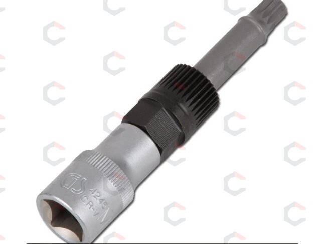 Antgalis generatoriaus diržo skremuliams | 12,5 mm (1/2") | Spline (XZN) M10 | 2 vnt. (4245) 3 Antgalis generatoriaus diržo skremuliams | 12,5 mm (1/2") | Spline (XZN) M10 | 2 vnt. (4245) 3