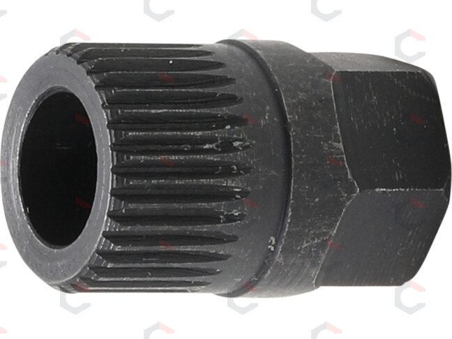 Antgalis generatoriaus remontui | 33 dantukai | išorinis šešiakampis 15 mm (4248-4) Antgalis generatoriaus remontui | 33 dantukai | išorinis šešiakampis 15 mm (4248-4)