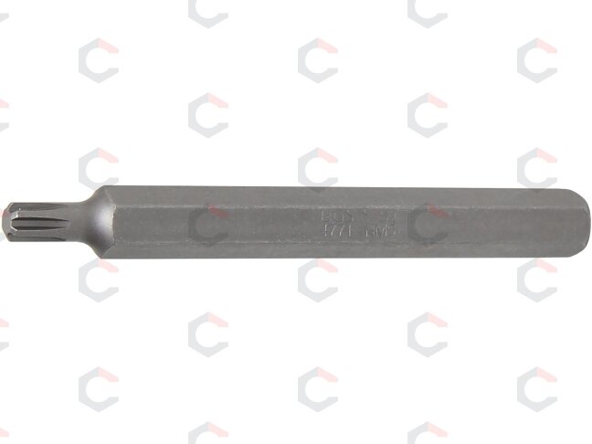 Antgalis | ilgis 100 mm | 10 mm (3/8") | Spline (RIBE) M6 (4771) Antgalis | ilgis 100 mm | 10 mm (3/8") | Spline (RIBE) M6 (4771)
