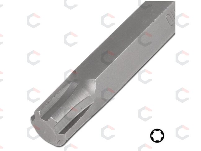 Antgalis | ilgis 100 mm | 10 mm (3/8") | Spline (RIBE) M7 (4772) 2 Antgalis | ilgis 100 mm | 10 mm (3/8") | Spline (RIBE) M7 (4772) 2