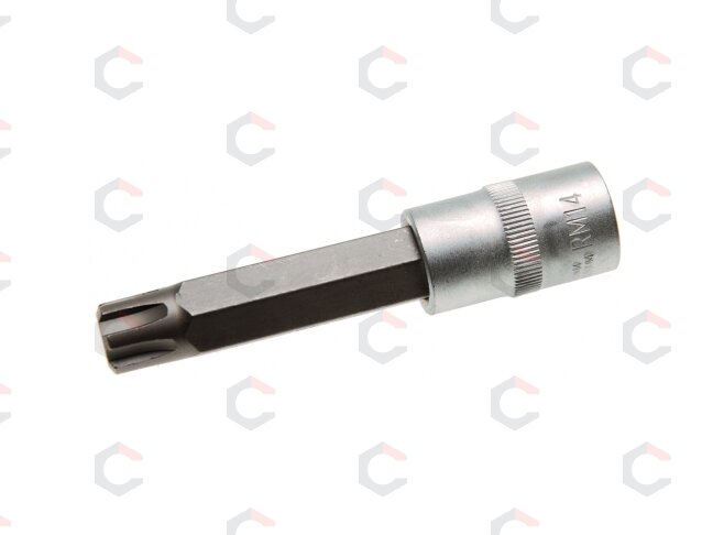 Antgalis | ilgis 100 mm | 12,5 mm (1/2") | Spline (RIBE) | M14 (4168) 1 Antgalis | ilgis 100 mm | 12,5 mm (1/2") | Spline (RIBE) | M14 (4168) 1