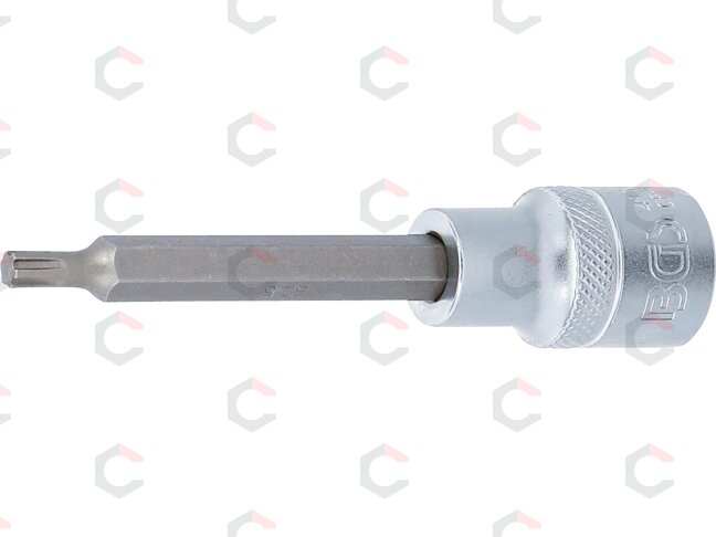 Antgalis | ilgis 100 mm | 12,5 mm (1/2") | Spline (RIBE) | M5 (4160) Antgalis | ilgis 100 mm | 12,5 mm (1/2") | Spline (RIBE) | M5 (4160)