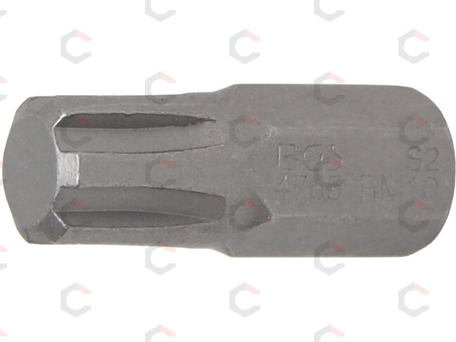 Antgalis | ilgis 30 mm | 10 mm (3/8") | Spline (RIBE) M10 (4765) Antgalis | ilgis 30 mm | 10 mm (3/8") | Spline (RIBE) M10 (4765)