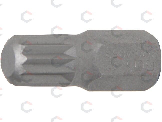 Antgalis | ilgis 30 mm | 10 mm (3/8") storis | Spline (XZN) | M10 (4853) Antgalis | ilgis 30 mm | 10 mm (3/8") storis | Spline (XZN) | M10 (4853)