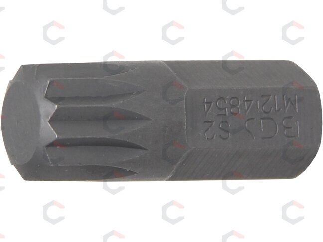 Antgalis | ilgis 30 mm | 10 mm (3/8") storis | Spline (XZN) | M12 (4854) Antgalis | ilgis 30 mm | 10 mm (3/8") storis | Spline (XZN) | M12 (4854)