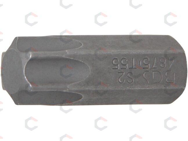 Antgalis | ilgis 30 mm | 10 mm (3/8") storis | T-Star (Torx) T55 (4875) Antgalis | ilgis 30 mm | 10 mm (3/8") storis | T-Star (Torx) T55 (4875)