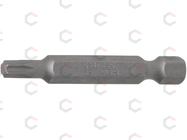 Antgalis | ilgis 50 mm | 6,3 mm (1/4") T-Star (Torx) T25 (4592) Antgalis | ilgis 50 mm | 6,3 mm (1/4") T-Star (Torx) T25 (4592)