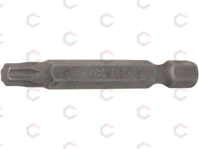 Antgalis | ilgis 50 mm | 6.3 mm (1/4") | T-star (Torx) T30 (4593) Antgalis | ilgis 50 mm | 6.3 mm (1/4") | T-star (Torx) T30 (4593)
