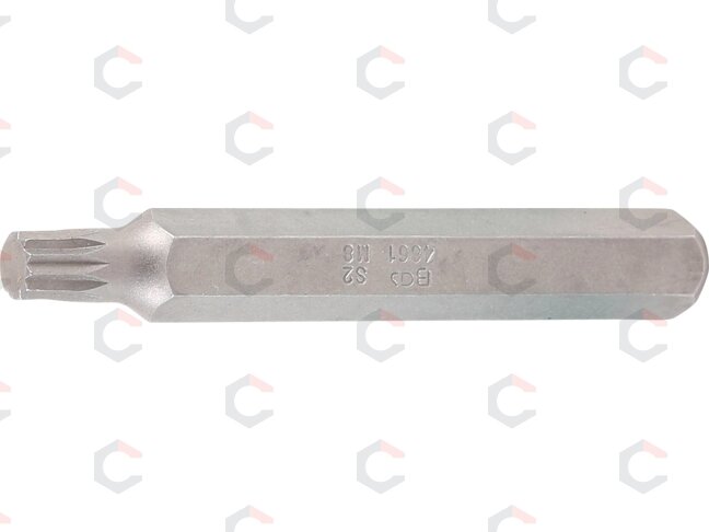 Antgalis | ilgis 75 mm | 10 mm (3/8") storis | Spline (XZN) | M8 (4861) Antgalis | ilgis 75 mm | 10 mm (3/8") storis | Spline (XZN) | M8 (4861)