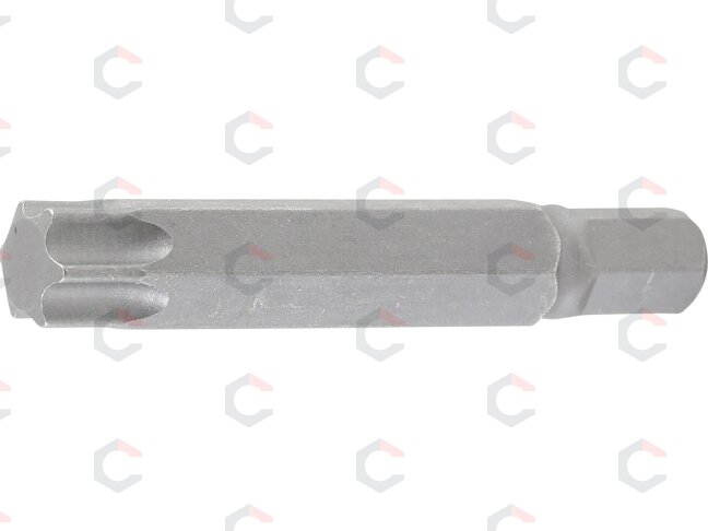 Antgalis | ilgis 75 mm | 10 mm (3/8") storis | T-Star (Torx) T60 (4598) Antgalis | ilgis 75 mm | 10 mm (3/8") storis | T-Star (Torx) T60 (4598)