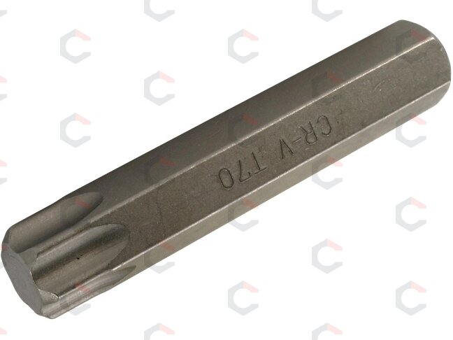 Antgalis | ilgis 80 mm | 14 mm storis | T-Star (Torx) T70 (4581) Antgalis | ilgis 80 mm | 14 mm storis | T-Star (Torx) T70 (4581)