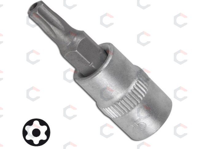 Antgalis įpresuotas į 1/4" galvutę T8 su skyle (FC2608-T8) Antgalis įpresuotas į 1/4" galvutę T8 su skyle (FC2608-T8)