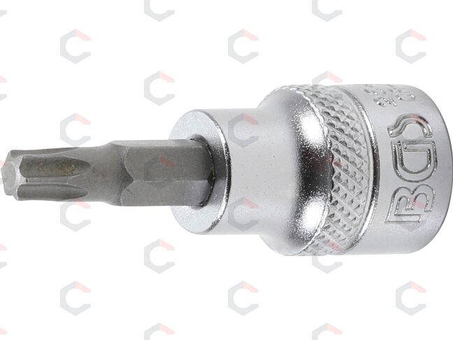 Antgalis įpresuotas į galvutę | 10 mm (3/8") | T-Star (Torx) T25 (2543) Antgalis įpresuotas į galvutę | 10 mm (3/8") | T-Star (Torx) T25 (2543)