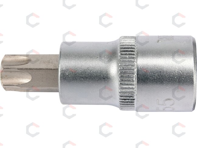 Antgalis įpresuotas į galvutę 1/2", T55 x 55 mm (YT-04317) 2