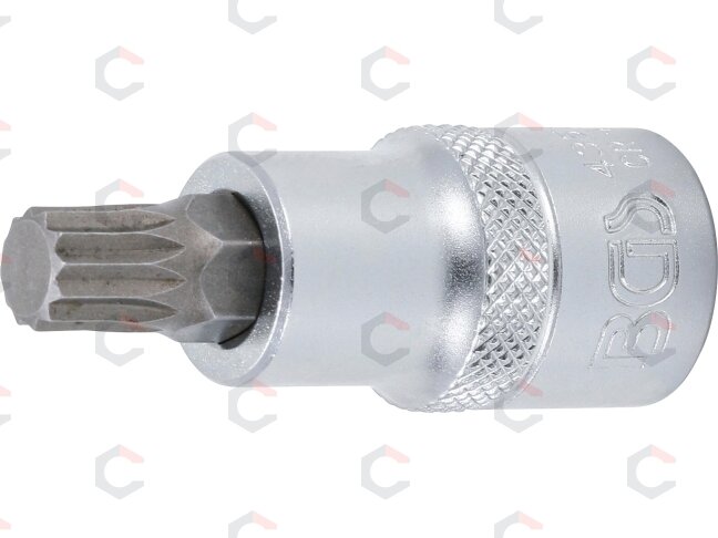 Antgalis įpresuotas į galvutę | 12,5 mm (1/2") | Spline (XZN) M10 (4353) Antgalis įpresuotas į galvutę | 12,5 mm (1/2") | Spline (XZN) M10 (4353)