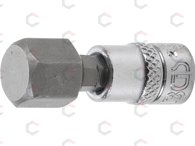 Antgalis įpresuotas į galvutę | 6,3 mm (1/4") | hex šešiakampis 12 mm (2161-12) Antgalis įpresuotas į galvutę | 6,3 mm (1/4") | hex šešiakampis 12 mm (2161-12)