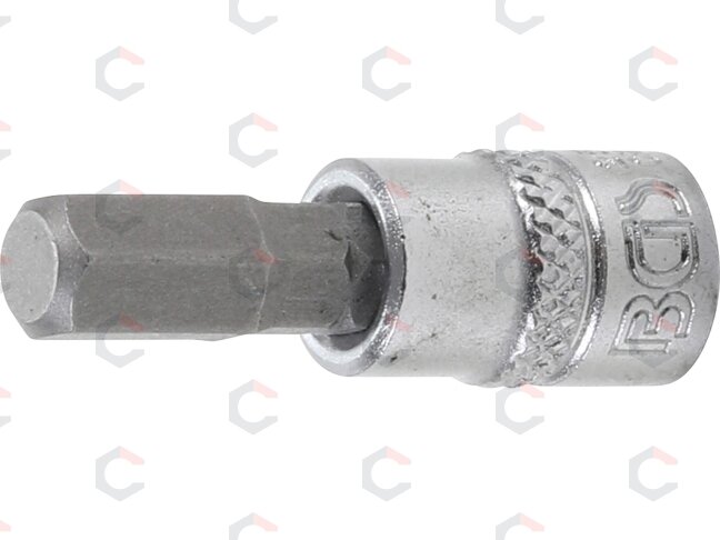 Antgalis įpresuotas į galvutę | 6,3 mm (1/4") | hex šešiakampis 7 mm (2501) Antgalis įpresuotas į galvutę | 6,3 mm (1/4") | hex šešiakampis 7 mm (2501)