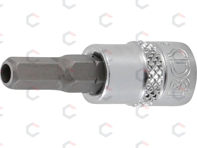 Antgalis įpresuotas į galvutę | 6,3 mm (1/4") | hex šešiakampis su skyle 5.5 mm (5156-5-5) Antgalis įpresuotas į galvutę | 6,3 mm (1/4") | hex šešiakampis su skyle 5.5 mm (5156-5-5)