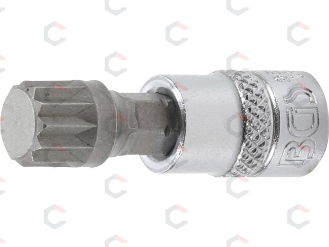 Antgalis įpresuotas į galvutę | 6.3 mm (1/4") | Spline (XZN) M10 (2506) Antgalis įpresuotas į galvutę | 6.3 mm (1/4") | Spline (XZN) M10 (2506)