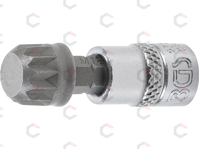 Antgalis įpresuotas į galvutę | 6.3 mm (1/4") | Spline (XZN) M12 (2507)