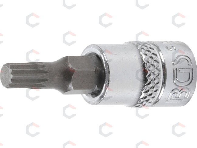 Antgalis įpresuotas į galvutę | 6.3 mm (1/4") | Spline (XZN) M5 (5105-M5) Antgalis įpresuotas į galvutę | 6.3 mm (1/4") | Spline (XZN) M5 (5105-M5)