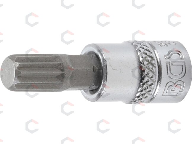 Antgalis įpresuotas į galvutę | 6.3 mm (1/4") | Spline (XZN) M8 (2503) Antgalis įpresuotas į galvutę | 6.3 mm (1/4") | Spline (XZN) M8 (2503)