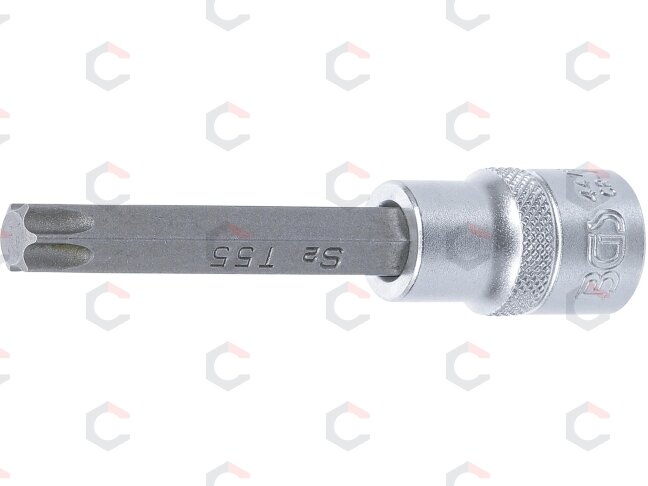 Antgalis įpresuotas į galvutę | ilgis 100 mm | 12,5 mm (1/2") | T-star (Torx) T55 (4475) Antgalis įpresuotas į galvutę | ilgis 100 mm | 12,5 mm (1/2") | T-star (Torx) T55 (4475)