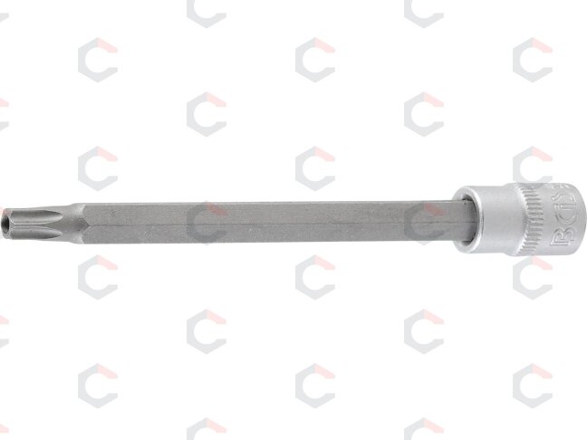 Antgalis įpresuotas į galvutę | ilgis 100 mm | 6.3 mm (1/4") | T-Star su skyle (Torx ) T30 (4203) 2