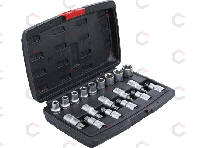 Antgalių / galvučių rinkinys | 12,5 mm (1/2") | T-Star (Torx ) / E-Type | 19 vnt. (95100) 1 Antgalių / galvučių rinkinys | 12,5 mm (1/2") | T-Star (Torx ) / E-Type | 19 vnt. (95100) 1