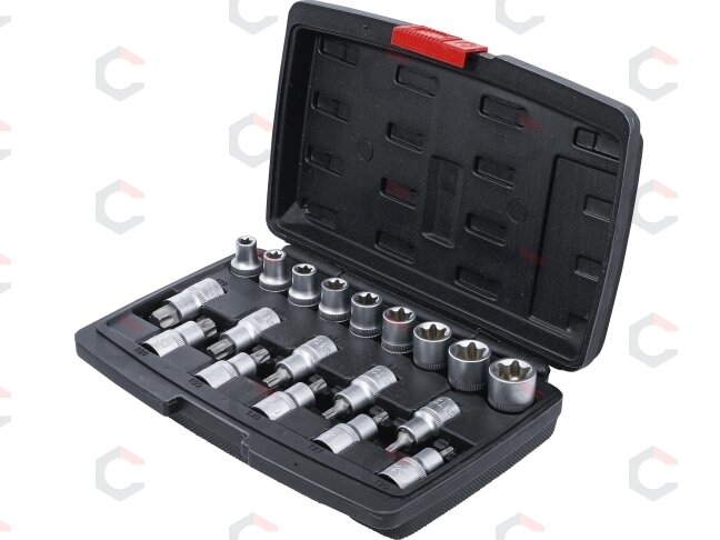 Antgalių / galvučių rinkinys | 12,5 mm (1/2") | T-Star (Torx ) / E-Type | 19 vnt. (95100) 2 Antgalių / galvučių rinkinys | 12,5 mm (1/2") | T-Star (Torx ) / E-Type | 19 vnt. (95100) 2