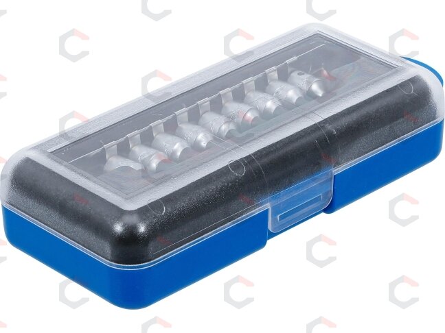 Antgalių rinkinys | 6.3 mm (1/4") | T-Star 5-kampiai (Torx) | 9 vnt. (2355) 3 Antgalių rinkinys | 6.3 mm (1/4") | T-Star 5-kampiai (Torx) | 9 vnt. (2355) 3