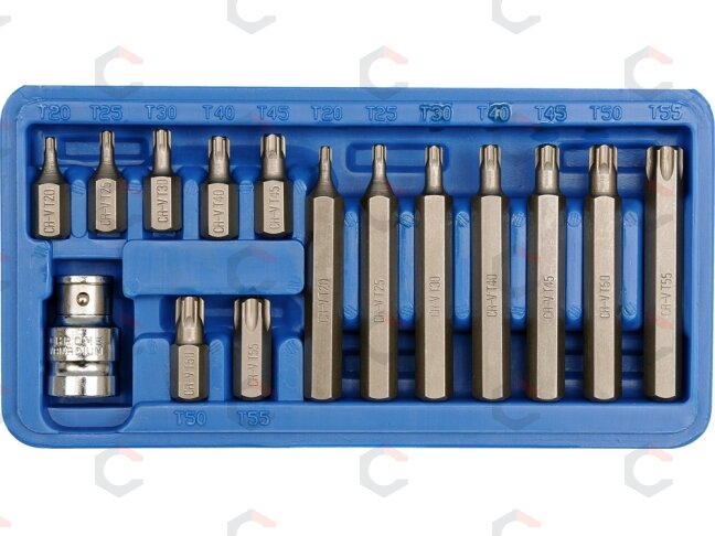 Antgalių rinkinys | T-Star (Torx) | 15 vnt. (66580) Antgalių rinkinys | T-Star (Torx) | 15 vnt. (66580)