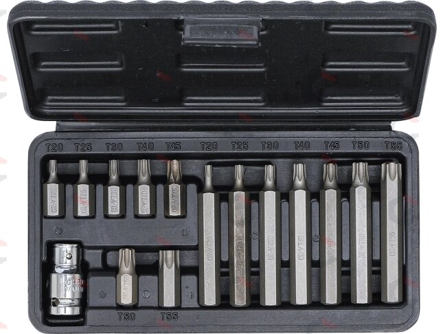 Antgalių rinkinys | trumpas / ilgas | 10 mm (3/8") storio | T-Star (Torx) | 15 vnt. (5040) 3 Antgalių rinkinys | trumpas / ilgas | 10 mm (3/8") storio | T-Star (Torx) | 15 vnt. (5040) 3