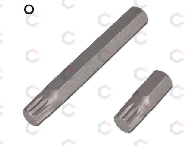 Antgalių rinkinys | trumpas / ilgas | spline (XZN) | 11 vnt. (5030) 6 Antgalių rinkinys | trumpas / ilgas | spline (XZN) | 11 vnt. (5030) 6