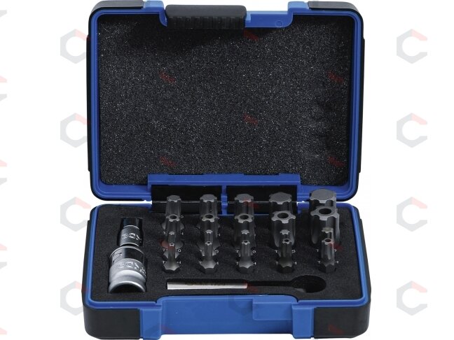 Antgalių rinkinys | TS profilis PLUS (Torx Plus) | 23 vnt. (4993) Antgalių rinkinys | TS profilis PLUS (Torx Plus) | 23 vnt. (4993)