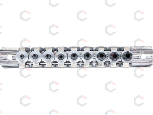 Antgalių rinkinys TS-Star Torx Plus | 6,3 mm (1/4") | TS10–TS50 | 9 vnt (71020) 2 Antgalių rinkinys TS-Star Torx Plus | 6,3 mm (1/4") | TS10–TS50 | 9 vnt (71020) 2