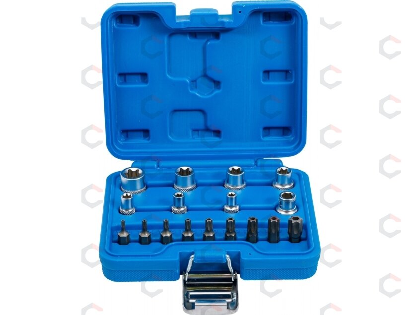 Antgalių rinkinys | E-Type / T-Star (Torx) | 17 vnt. (5023)