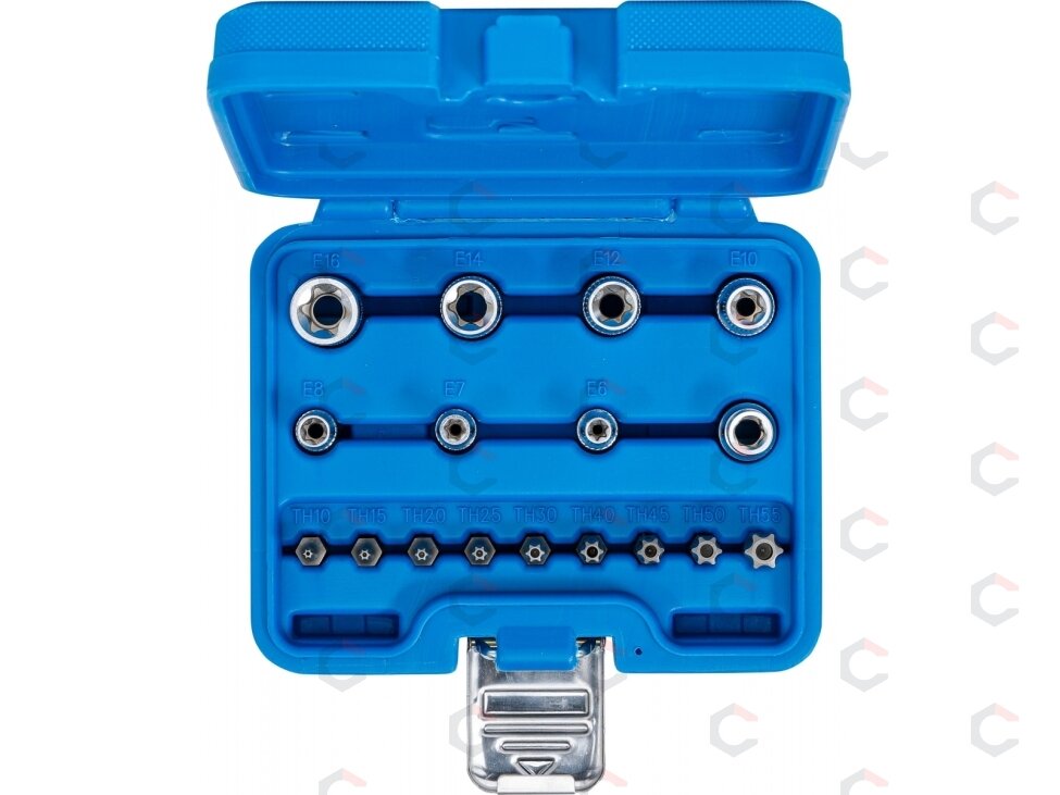 Antgalių rinkinys | E-Type / T-Star (Torx) | 17 vnt. (5023) 4